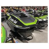 (WI) 1976 Arctic Cat Z 250