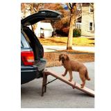 Pet Gear Free Standing Pet Ramp, 56