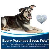 BISSELL Big Green Professional Carpet Cleaner