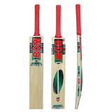 BDM Kashmir Willow Wood Cane Handle Tennis Cricket Bat with Carry Case Adult Size - Choose Weight