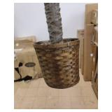 Sago Palm Silk Tree 4-foot - Green- Retail:$89.99