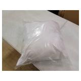 Pillow Insert