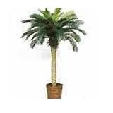 Sago Palm Silk Tree 4-foot - Green- Retail:$89.99