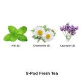 AeroGarden Fresh Tea 9 Seed Pod Kit