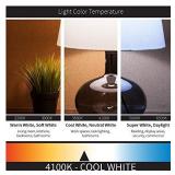 Sunlite F25T8/SP841/10PK T8 High Performance Medium Bi-Pin (G13) Base Straight Tube Bulb , 25W/4100K, Cool White