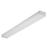 Lithonia Lighting 3348 Lighting Two-Light Fluorescent Ceiling Fixture, White,4-feet
