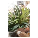 4 ft. Tall Faux House Plant