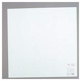 FoamPRO 121 Paint Color Sample Board, 18" x 24"