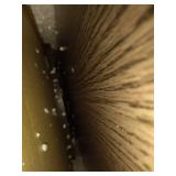 Furinno Turn-N-Tube No Tool 3-Tier Entertainment TV Stands, Multiple Colors