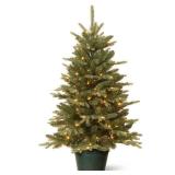 National Tree Company 3