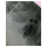 Rivet Stowell Upholstered Modern Glider Chair