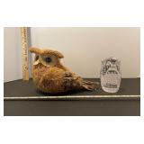 Owl lot 3