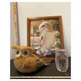 Owl lot 3
