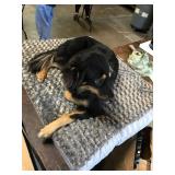 FurHaven Deluxe Orthopedic Ultra Plush Pet Bed