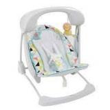 fisher price deluxe take along swing and seat