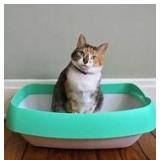 Luuup Cat Litter Box