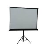 100 Portable Projection Screen
