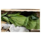 2 Pack - GreenBoxx Faux Fiddle Leaf Fig Tree Artificial Green Fake Boho Ficus Plants 45 Total Leaves and Ready to Display Cement Pot for Home DÃ©cor, Office DÃ©cor, Window and Wedding DÃ©cor 35"