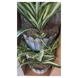 39" Spider Artificial Plant in Three-Tiered Wall Decor Planter- Retail:$129.99