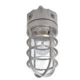 EATON Lighting VT100G 100W Vapor Tight Light