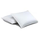Standard Textile Chambers Pillows(2) standard size Down-Alternative fill - Retails for $100