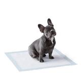 Amazon Basics Dog and Puppy Pads, Leak-proof 5-Layer Pee Pads with Quick-dry Surface for Potty Training, Regular (22 x 22 Inches) - Pack of 100