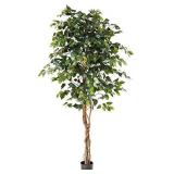 Nearly Natural 6ft. Ficus Artificial Trees, 72in, Green