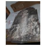 Creative Co-op DF0964 Vintage Reproduction of Lady in The Garden Image Wood Wall DÃ©cor, Multicolored