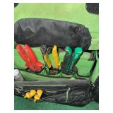 Tool tote with tools