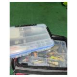 Fishing tackle carry bag with tackle