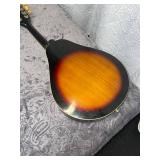 Mandolin