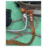 Buckingham model 3500 climbing spikes and harness set