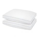 SensorPedic 2 Pack SofLoft Extra Firm Density Queen Pillow