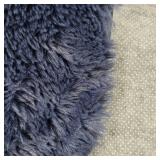 Fuzzy Blue Rug