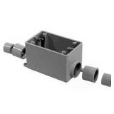 Gang Box Deep Scepter