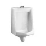 Wall Hung Urinal