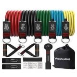 RENRANRING Resistance Bands Set, Exercise Bands with Stackable Workout Bands, Door Anchor Attachment, Handles, Legs Ankle MISSING GREEN BAND