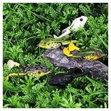 Soft Frog Bait, Double Propellers Legs, 3D Eyes, Lifelike Silicone Skin Pattern, Topwater, Bigger Splash More Attractive, Fishing Lure Set for Bass Snakehead Pike, 3.5in/0.46oz, 3 pcs