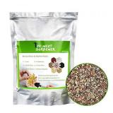 THE NEXT GARDENER SUCCULENT AND CACTUS BONSAI Gritty Mix 1.5 pounds