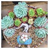 THE NEXT GARDENER SUCCULENT AND CACTUS BONSAI Gritty Mix 1.5 pounds