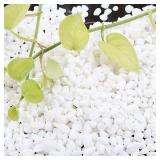 Bonsai DIY Rocks, White Onyx, Gravel for Terrarium, Top Dressing, 1.5lb