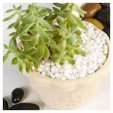 Bonsai DIY Rocks, White Onyx, Gravel for Terrarium, Top Dressing, 1.5lb