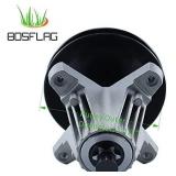 BOSFLAG 918-06991 Spindle Assembly with Thread Hole and Screws