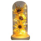 Artificial Sunflower in Glass Dome Enchanted Sunflower Lamp Sunflower Decors Sunflower Gifts for Her on Christmas Thanksgiving Day Valentine