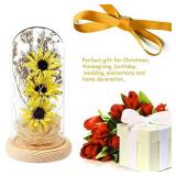 Artificial Sunflower in Glass Dome Enchanted Sunflower Lamp Sunflower Decors Sunflower Gifts for Her on Christmas Thanksgiving Day Valentine