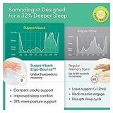 Premium Adjustable Loft Pillow - Snore Relief Shredded Memory Foam Pillow with Cooling Effect - Bamboo Derived Washable Cover - Doctor Designed/CertiPUR Certified (Shredded Bed Pillow+)