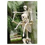 Seasons Poseable Skeleton Halloween Decoration Bone 36 in. H x 4 in. W x 9-1/2 in. L