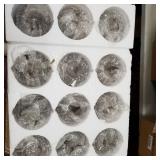 Sputnik Chandelier with Clear Glass Shades (PRODUCT IS NOT EXACT ; Please see photos)