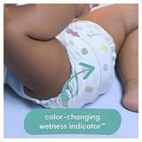 Pampers Baby-Dry Extra Protection Diapers, Size 6, 144 Coun