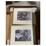 Golden State Art Picture Frames (7 PIECE SET)